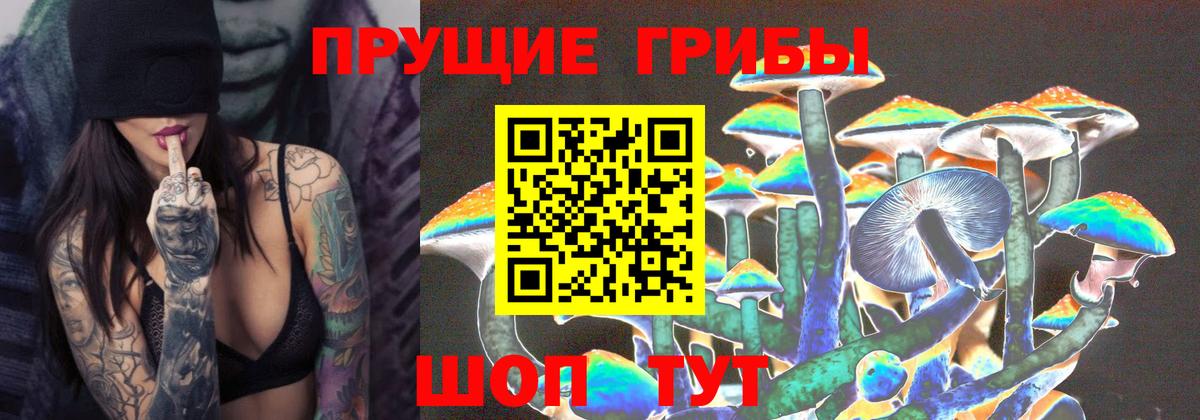 Оренбург  Псилоцибиновые грибы Cubensis  Вход с VPN 