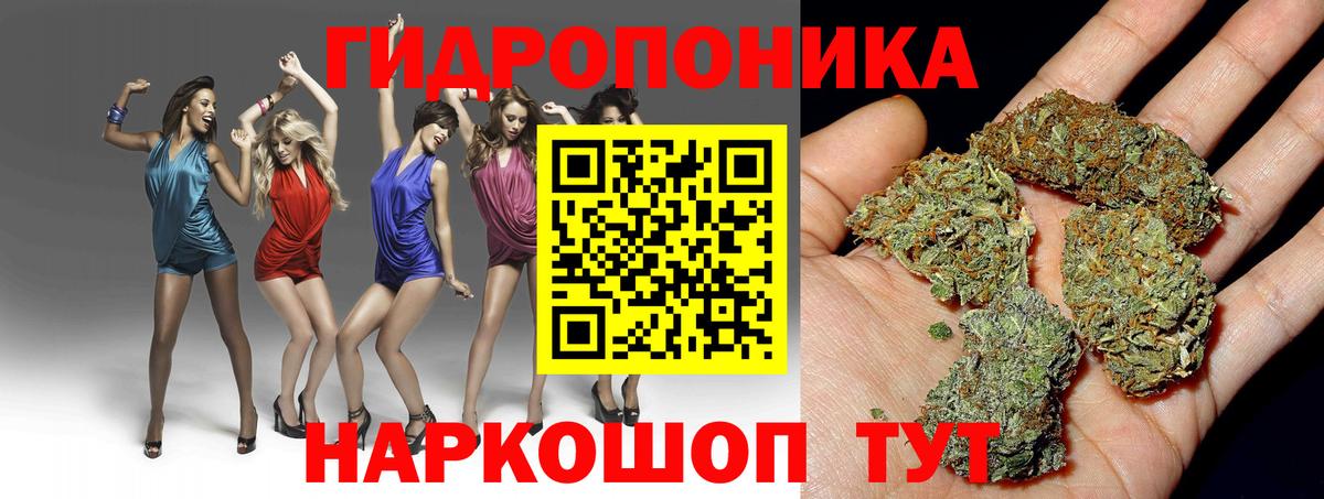 Канабис семена  Марихуана VHQ  Оренбург  Марихуана Bruce Banner  Вход с VPN 