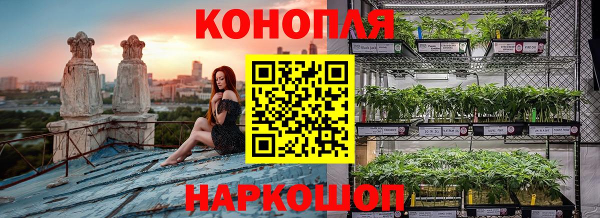 Каннабис планчик Оренбург